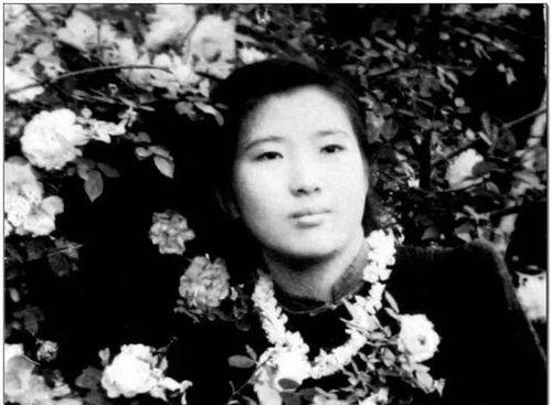 娱乐圈摆烂吃瓜是谁啊,揭秘神秘“瓜农”背后的故事