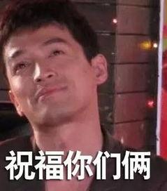 吃瓜娱乐圈华哥,瓜田里的明星风云录